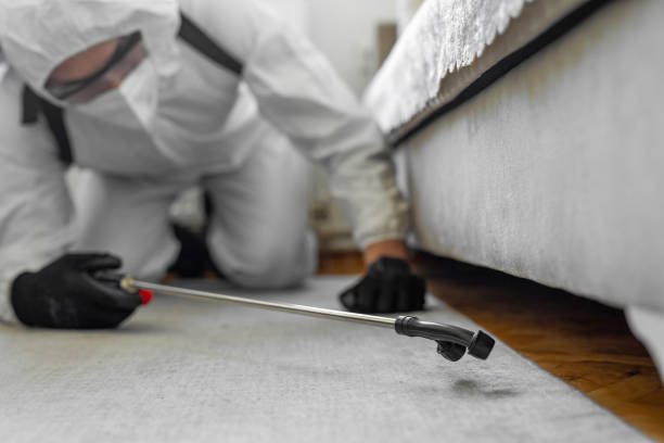 Professional Bed Bug Control technician working in Pitt County County, NC